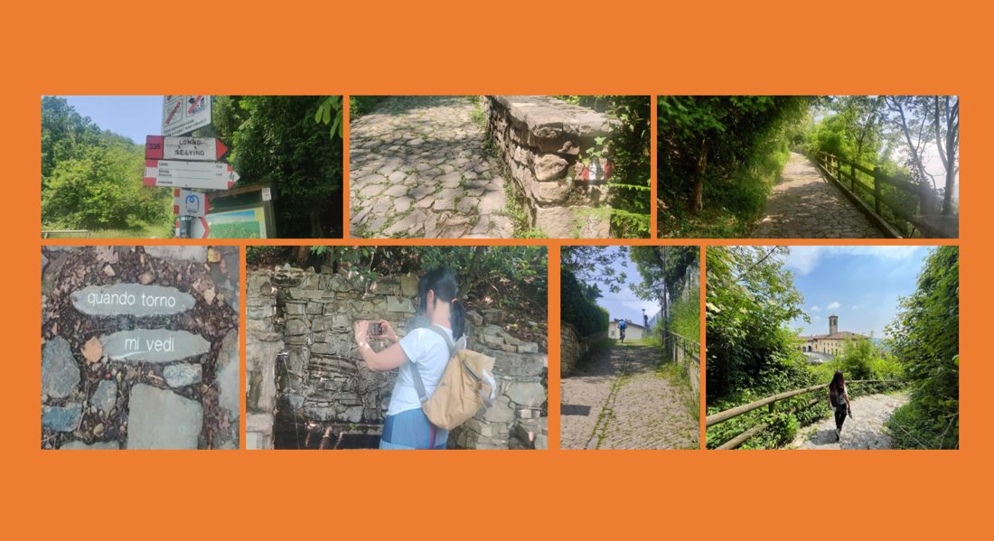 Pietre Coti Carborundum Blinky - Per Affilatura Utensili, Materiale Resistente